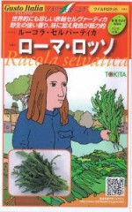 �ȥ������ġ������ȥ����ꥢ�������ޡ����å� (�磻��ɥ����å�) [�����̡���500γ]