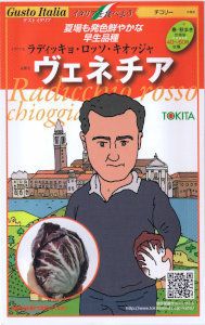 ȥġȥꥢͥ [̡80γ]
