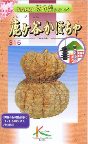 タカヤマシード 伝統野菜 鹿ヶ谷かぼちゃ 8ml【郵送対応