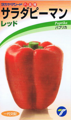 ������ޥ����� ������ԡ��ޥ� ��å� ��10γ ��͹���б���