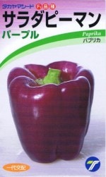 ������ޥ����� ������ԡ��ޥ� �ѡ��ץ� ��10γ ��͹���б���