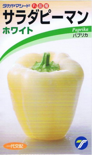 タカヤマシード サラダピーマン ホワイト 約10粒 【郵送対応