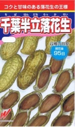   ȾΩ भ1L б