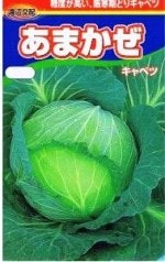 ��������������٥ġ����ޤ�����1ml ��͹���б���