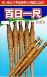 �������������ܥ� ɴ����ܡ�10ml ��͹���б���