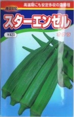 顡󥼥 :45γ