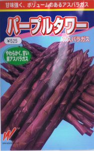 渡辺農事 アスパラガス パープルタワー 約8粒【郵送対応