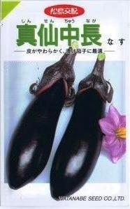 渡辺採種場 ナス 真仙中長 0.6ml 【郵送対応】 | 【メーカー名からタネ