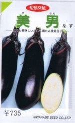 ���պμ�졡�ʥ������� 0.4ml ��͹���б���