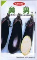 ���պμ�졡�ʥ������� 0.4ml ��͹���б���