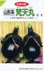 ���պμ�� �ʥ� �����ϡ���ŷ�� 0.7ml ��͹���б���