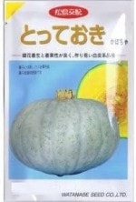 ���պμ�졡���ܥ��� �ȤäƤ��� ��8γ��͹���б���