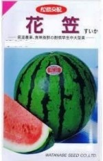 ���պμ�졡���������ֳ� ��11γ ��͹���б���