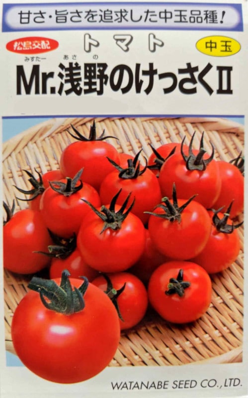 պμ졡ȥޥȡMr.Τä215γ ͹б