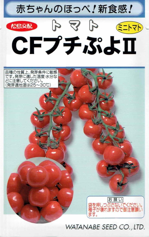 トマト プロフ見て下さいね☆  30586-161-