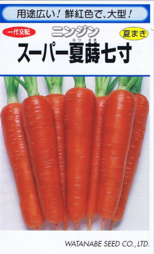 渡辺採種場 ニンジン スーパー夏まき7寸 20ml 【郵送対応