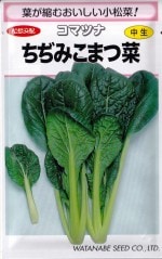 ���պμ�졡���ޥĥ� ���¤߾����� 3.7ml�� ��͹���б���