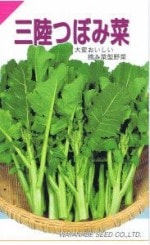 ���պμ�졡�ʥХ� ��Φ�Ĥܤߺڡ�3ml ��͹���б���