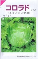 պμ졡쥿 0.9ml ͹б