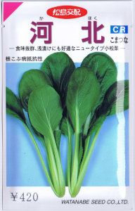 こまつな 渡辺採種場 小松菜・河北 6.6ml 【郵送対応】 | 【メーカー名からタネ