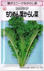 ���պμ�졡���饷�� �������դ��餷�ڡ�7ml ��͹���б���