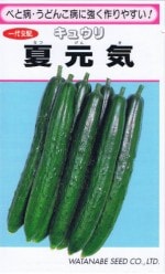 ���պμ�� �Ƹ������奦�� ��14γ ��͹���б���