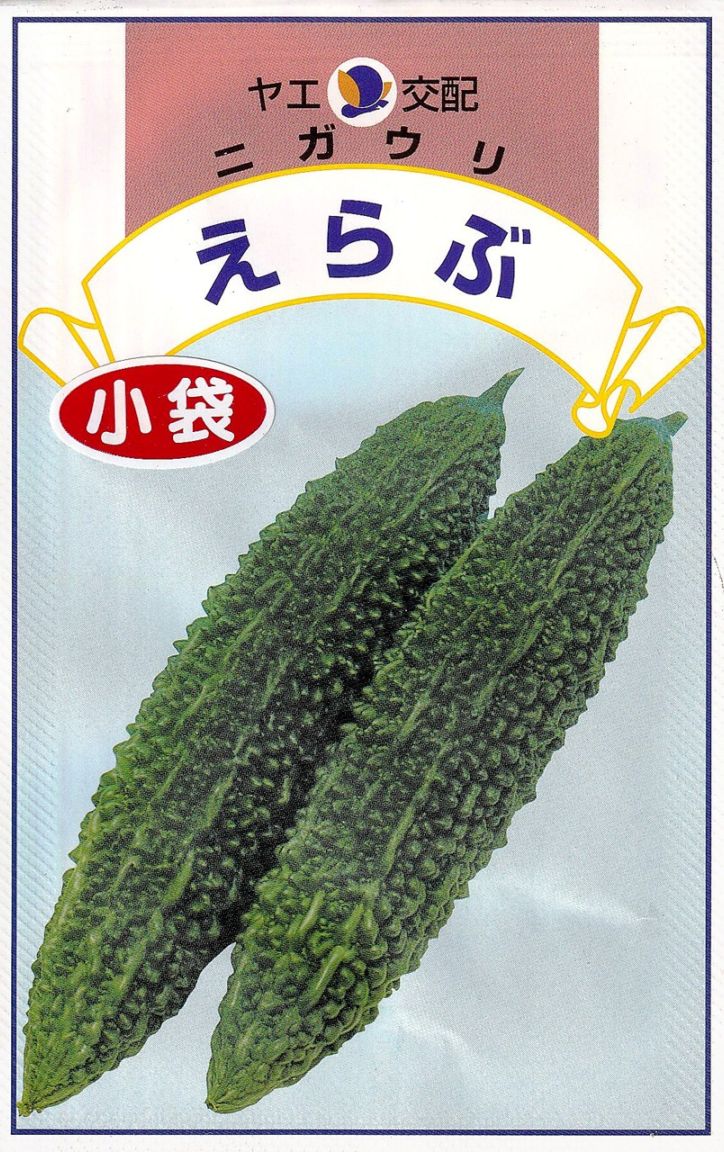 日光種苗 千成ひょうたん（瓢箪、ヒョウタン）のタネ 【1094】【春】