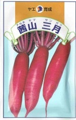 Ȭ 纬 [̡10ml]