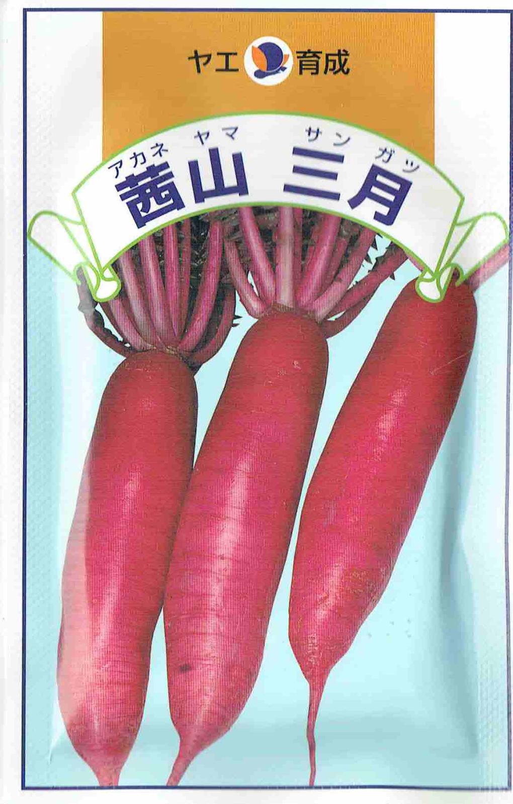 八江農芸 茜山三月大根 [内容量：10ml] | 【メーカー名からタネを探す
