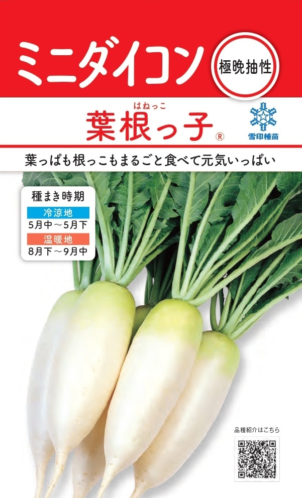 雪印種苗「ミニダイコン 葉根っ子」のタネ [内容量:2ml] | 【メーカー