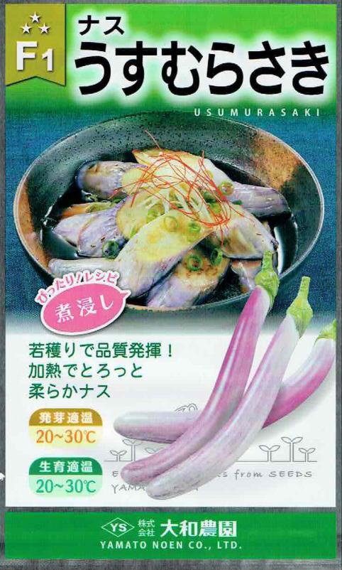 �������� �ʥ� ������餵���ʤ� ��30γ ��͹���б���