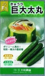 �������� ���奦�� �������� 10γ ��͹���б���