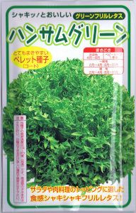 横浜植木 レタス・ハンサムグリーン Lコート種子 約100粒 【郵送対応