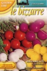 ��FRANCHI�Ҽ�ҡۡ�112/39�ۥ���ե��ǥ��å���