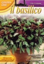 ��FRANCHI�Ҽ�ҡۡ�13/9�ۥ����Х��롦Thai Siam