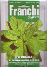 ��FRANCHI�Ҽ�ҡۡ�140/3�ۥޡ�����