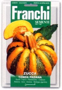 FRANCHI社種子】【145/13】パンプキン TONDA PADANA (カボチャ