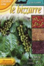 ��FRANCHI�Ҽ�ҡۡ�17/1�ۥ���ӥ������ҡ�