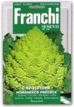 ��FRANCHI�ҡۡ�30/51�ۥ���ե������ޥͥ�����[������:3.2g]