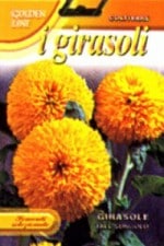 ��FRANCHI�ҡۡ�329/10�ۤҤޤ�ꡡTall Sungold
