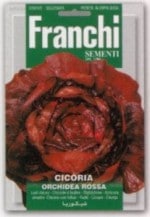 ��FRANCHI�Ҽ�ҡۡ�40/64�ۥ꡼�ե����ꡡORCHIDEA ROSSA