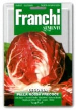 ��FRANCHI�ҡۡ�40/68�ۥ꡼�ե����꡼��Palla Rossa Precoce