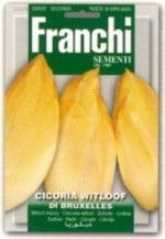 FRANCHIҼҡۡ40/8ۥ꡼եꡡDI BRUXELLES