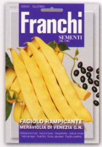 ��FRANCHI�Ҽ�ҡۡ�58/6�ۥĥ뤢�ꥤ�󥲥�mer.di Venezia g.n.