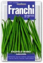 ��FRANCHI�Ҽ�ҡۡ�59/51�ۥĥ�ʤ����󥲥�VANGUARD