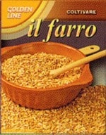 ��FRANCHI�Ҽ�ҡۡ�60/80�� �८ ���ڥ�Ⱦ������ե��å�