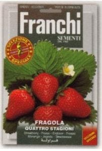 FRANCHIҼҡۡ63/1ۻ͵ʤꥤʤˡQUATTRO STAGIONI0.5