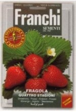 FRANCHIҼҡۡ63/1ۻ͵ʤꥤʤˡQUATTRO STAGIONI0.5