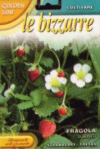 FRANCHIҼҡۡ63/3ۿåɥɥȥ٥꡼Fragola di bosco0.35