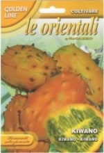 ��FRANCHI�ҡۡ�91/50�ۡ�KIWANO [�����̡���10γ]